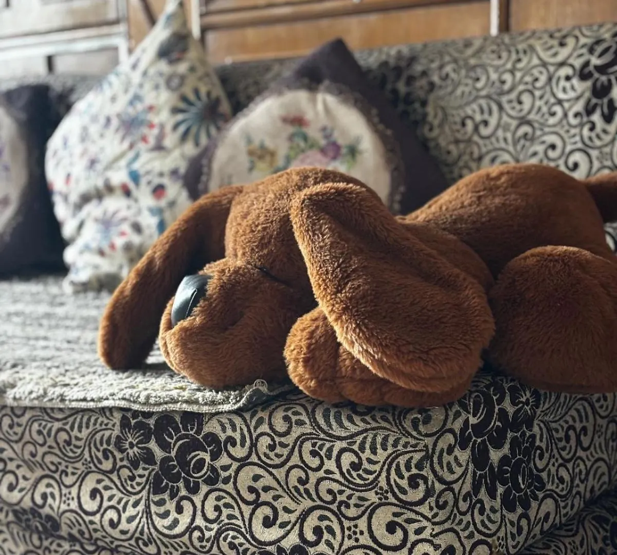 Homestay Green Valley Home Stay Shimla